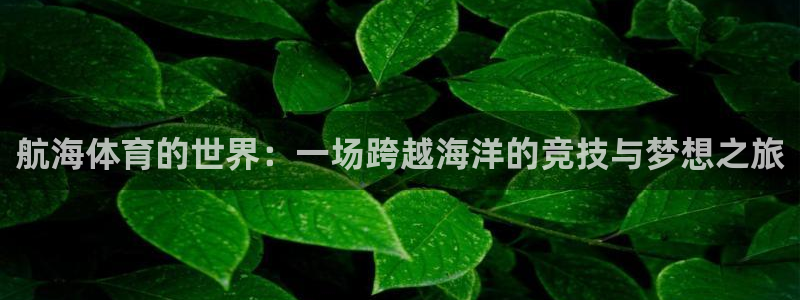 意昂注册