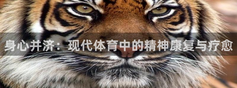 德国意昂集团