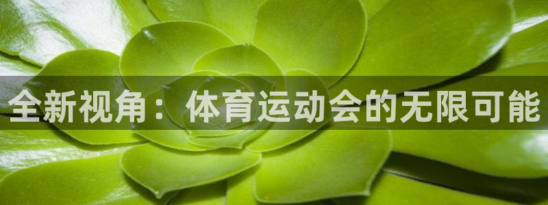 意昂54平台注册