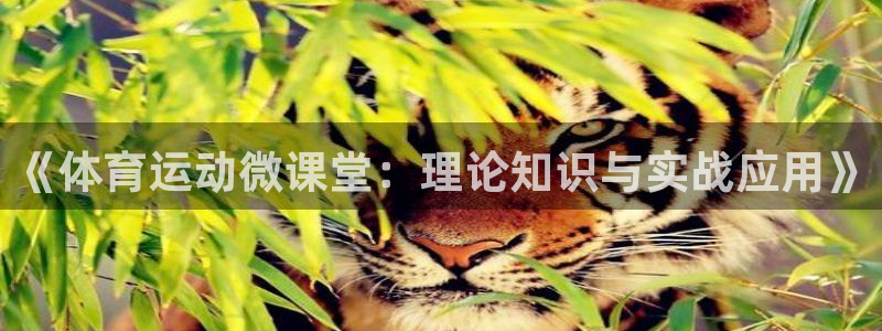 意昂平台注册