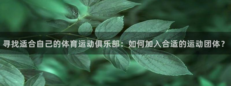 意昂5股份