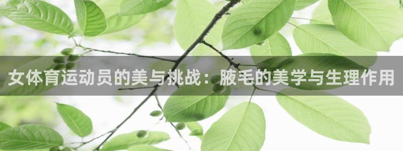 意昂5体育app下载